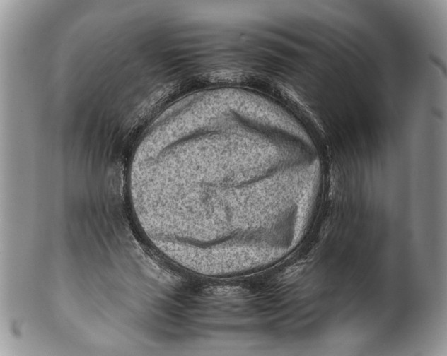 X0000099940637200806131426