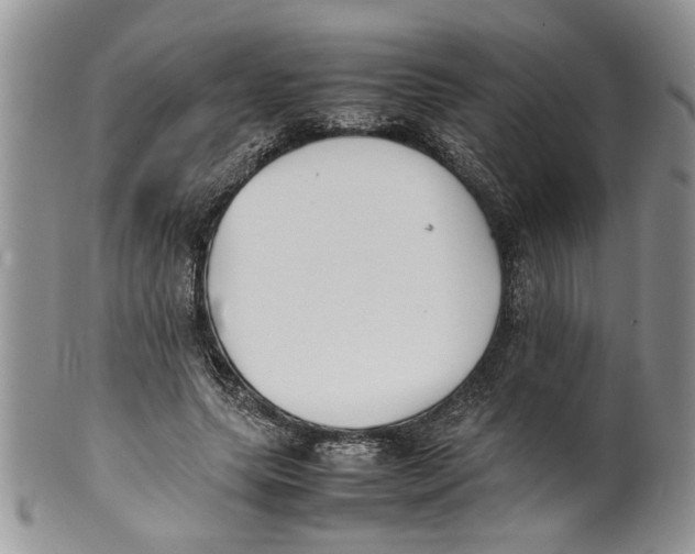 X0000099940639200806131426