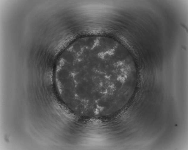 X0000099940640200806131426