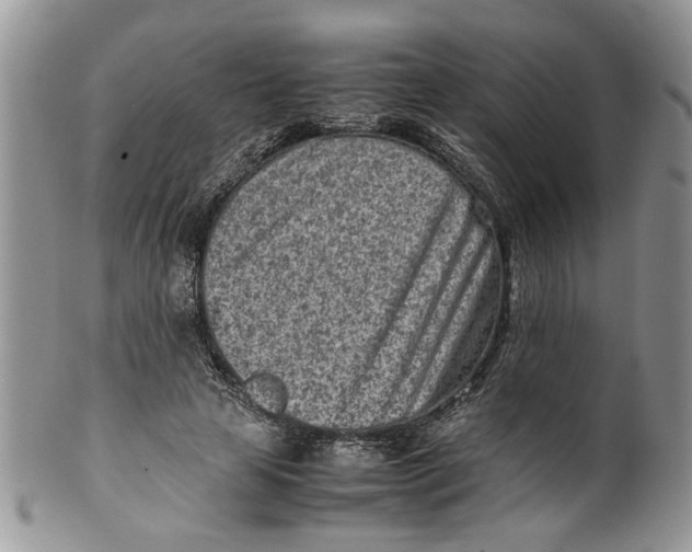 X0000099940641200806131426