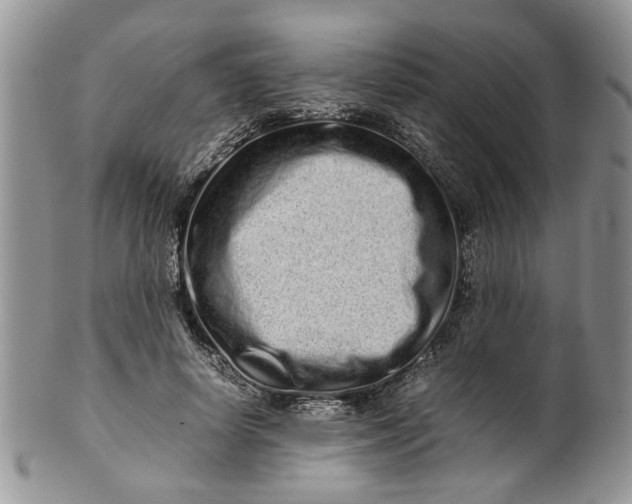 X0000099940642200806131426