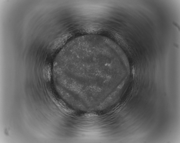 X0000099940644200806131426