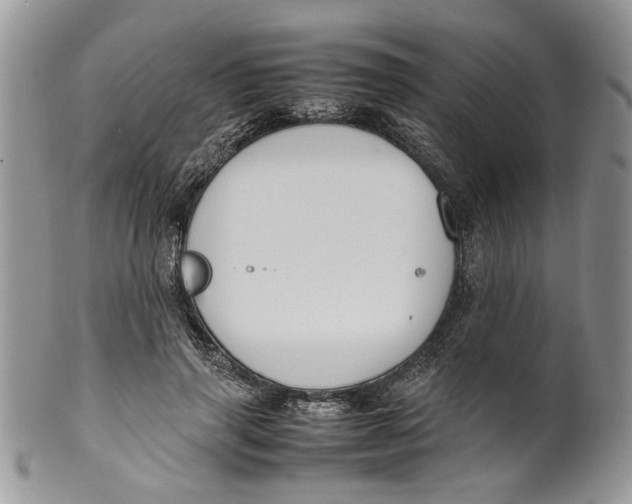 X0000099940645200806131426