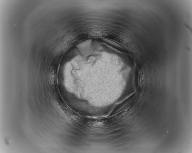 X0000099940647200806131426