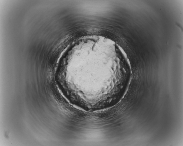 X0000099940648200806131426