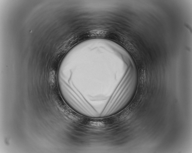 X0000099940649200806131426