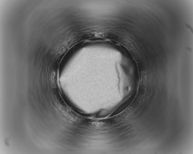 X0000099940650200806131426