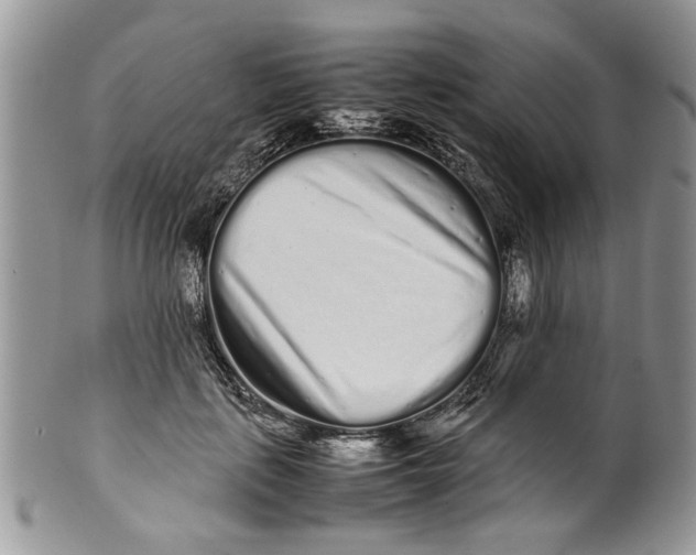 X0000099940651200806131426