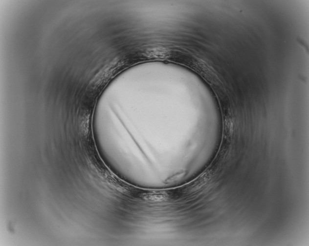 X0000099940652200806131426