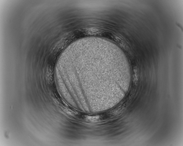 X0000099940653200806131426