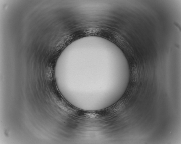 X0000099940654200806131426