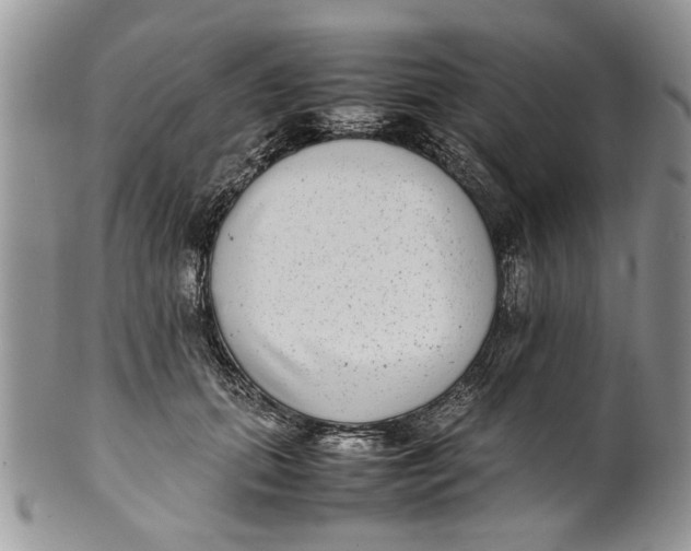 X0000099940655200806131426