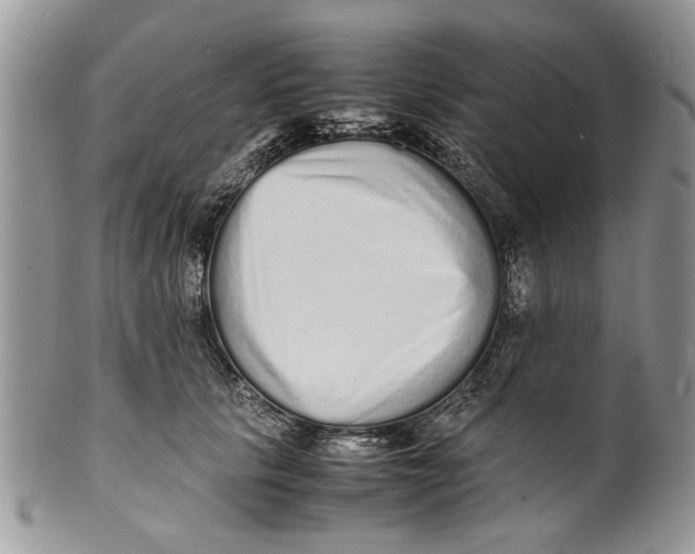 X0000099940657200806131426