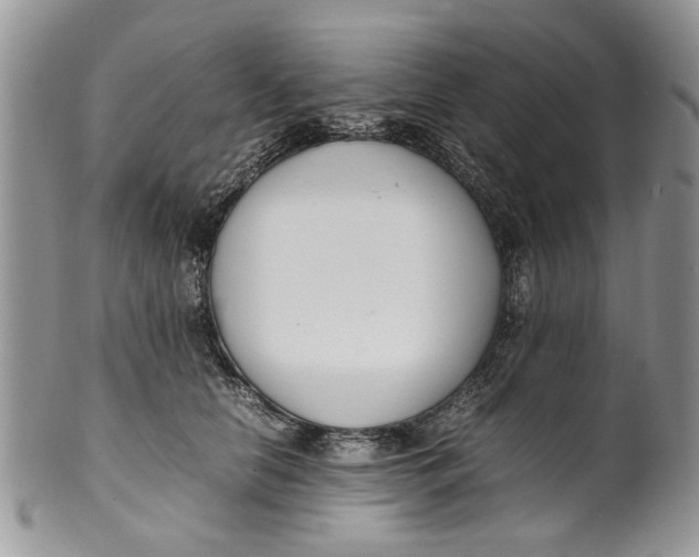 X0000099940658200806131426