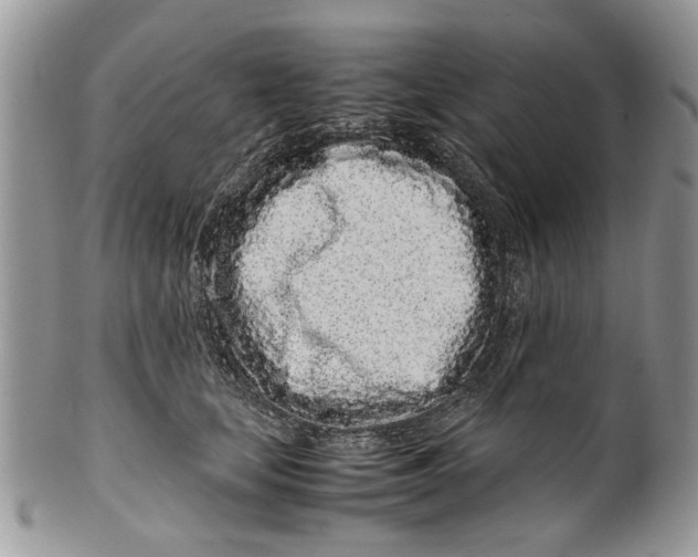 X0000099940659200806131426