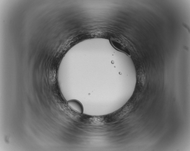 X0000099940660200806131426