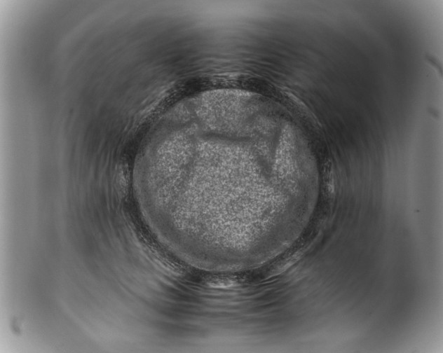 X0000099940661200806131426