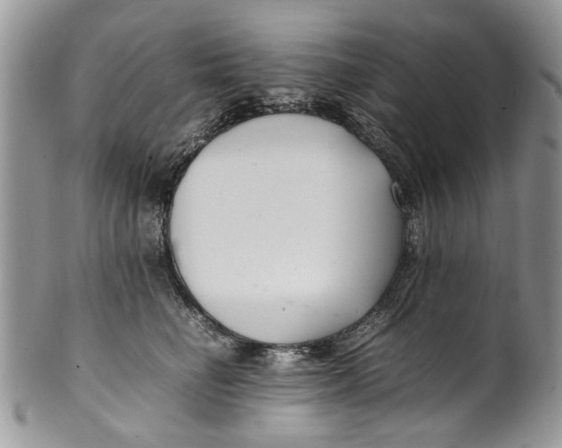 X0000099940662200806131426