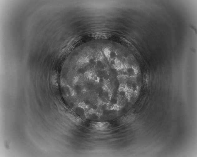 X0000099940663200806131426