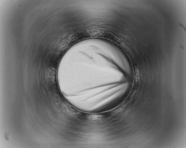 X0000099940664200806131426