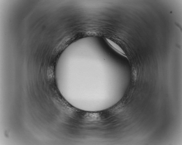 X0000099940665200806131426