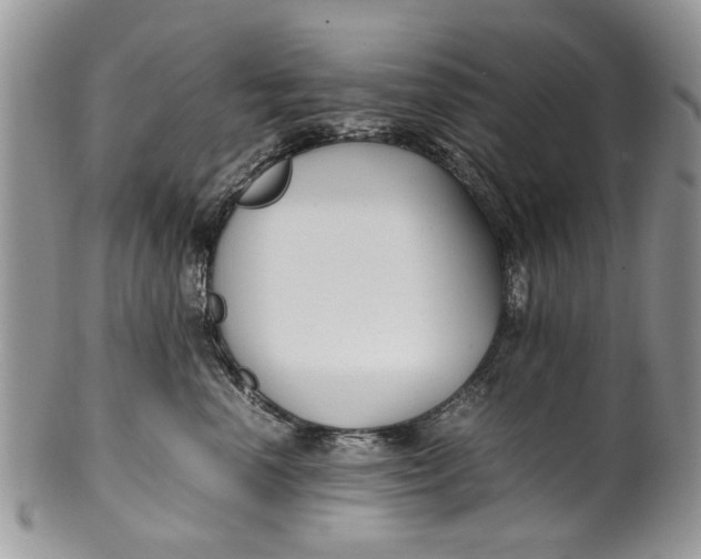 X0000099940666200806131426