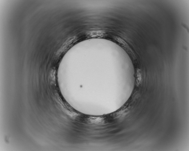 X0000099940667200806131426