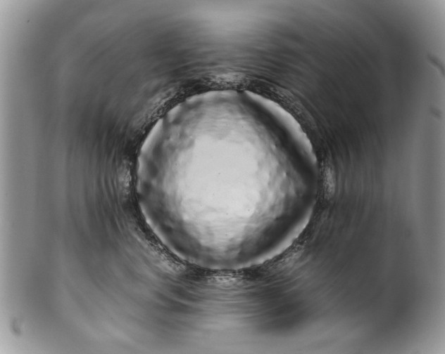 X0000099940668200806131426