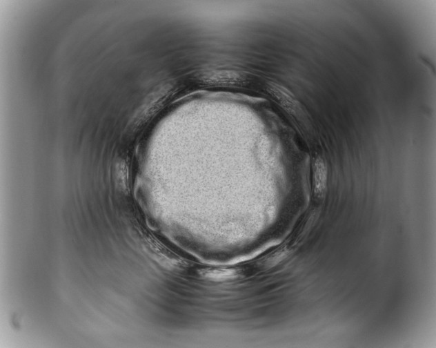 X0000099940669200806131426