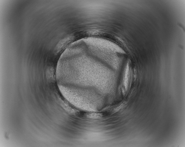 X0000099940670200806131426