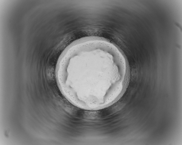 X0000099940671200806131426