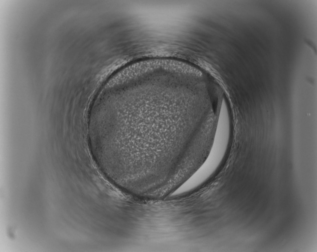 X0000099940673200806131426