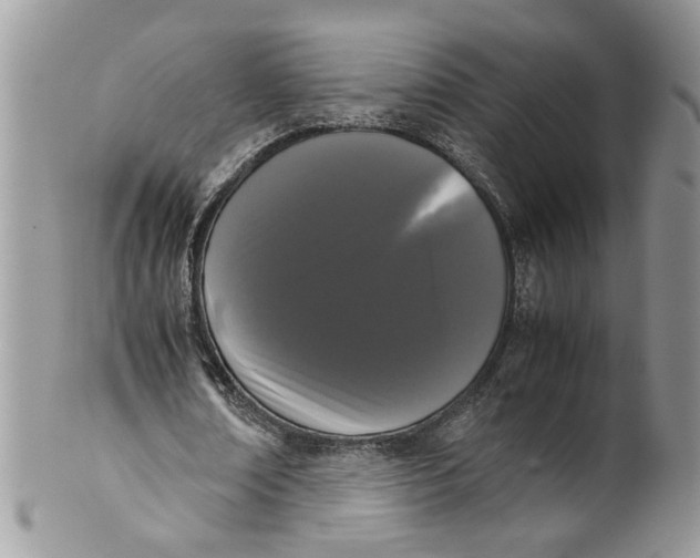 X0000099940674200806131426