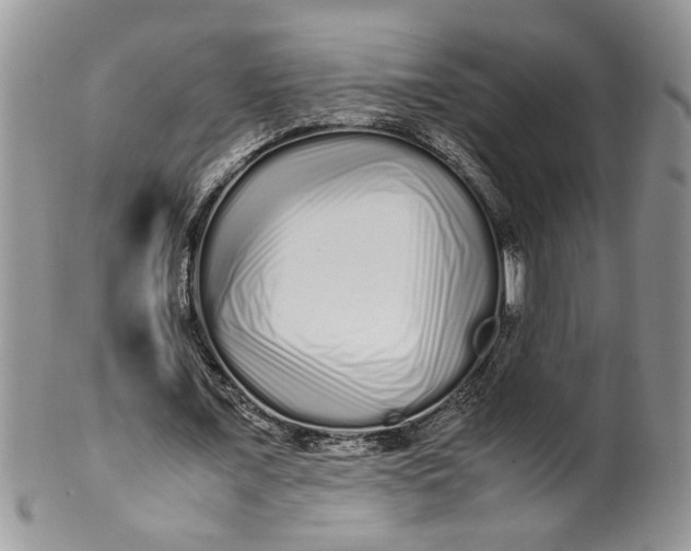 X0000099940675200806131426