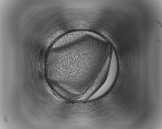 X0000099940677200806131426