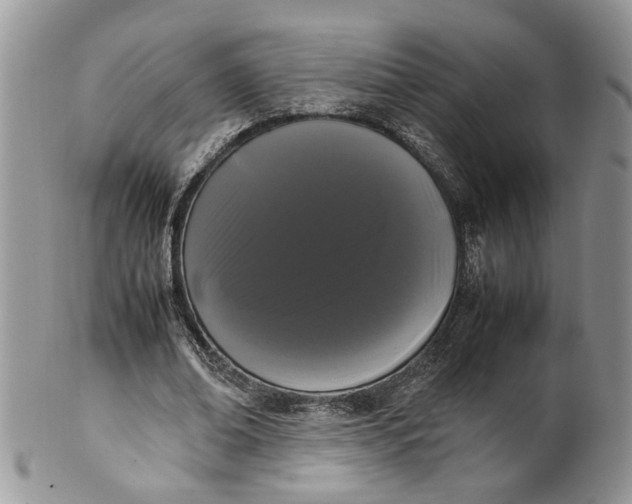 X0000099940678200806131426