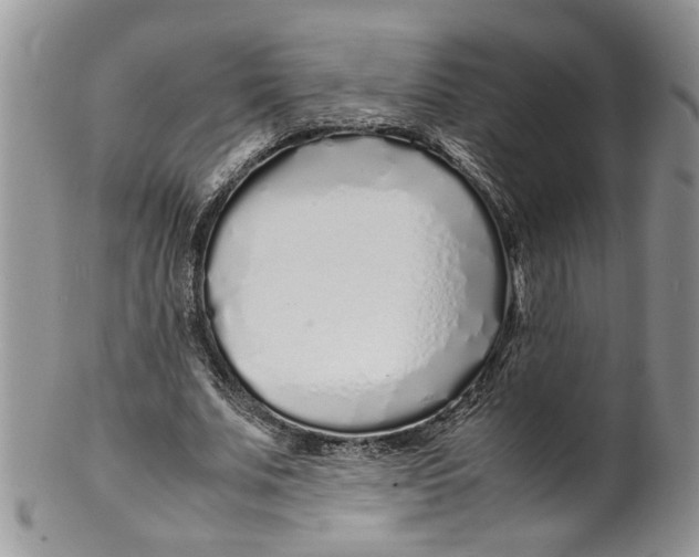 X0000099940679200806131425