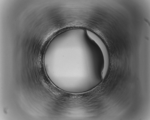 X0000099940680200806131425