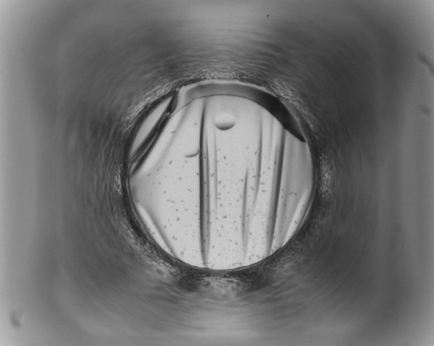 X0000099940681200806131425