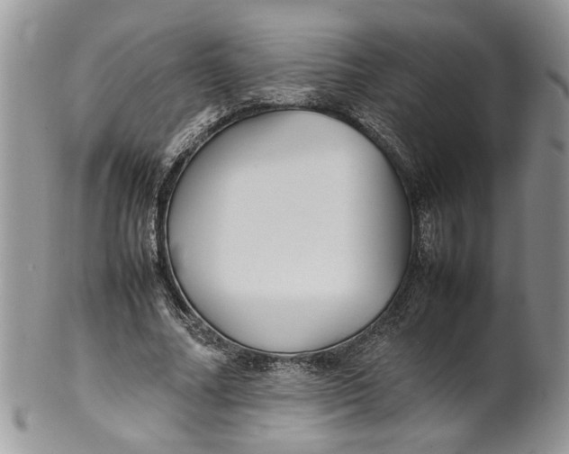 X0000099940682200806131425