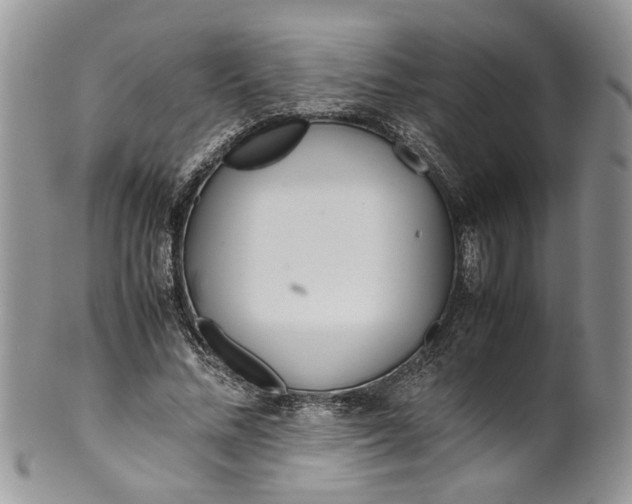 X0000099940684200806131425