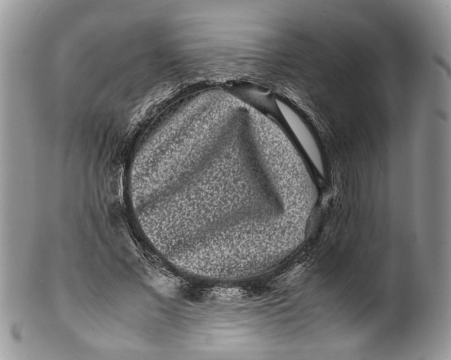 X0000099940685200806131425