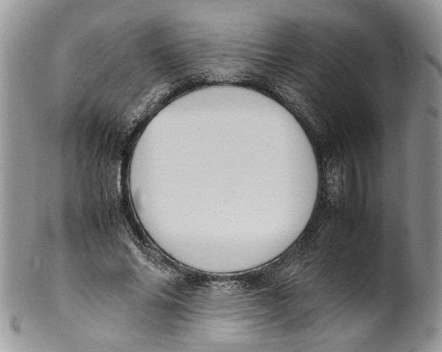 X0000099940686200806131425