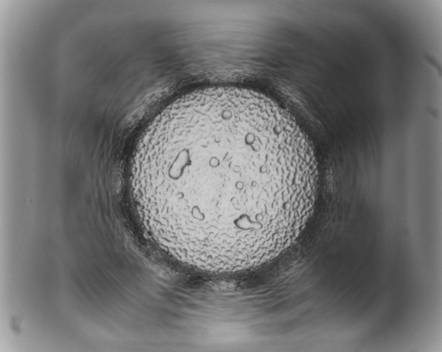 X0000099940687200806131425