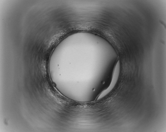 X0000099940688200806131425