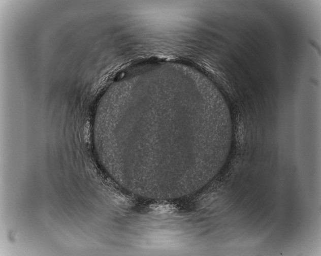 X0000099940689200806131425