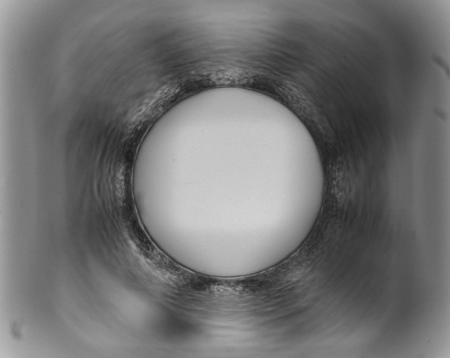 X0000099940690200806131425