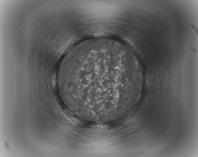 X0000099940691200806131425