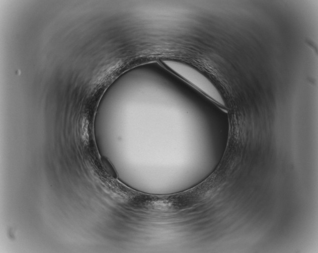 X0000099940692200806131425