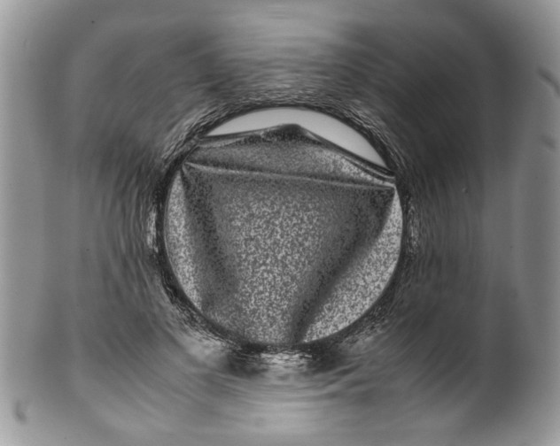 X0000099940693200806131425